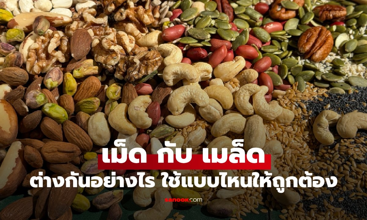 ใช้ผิดมาตลอด? เม็ด กับ เมล็ด ต่างกันอย่างไร ใช้แบบไหนให้ถูกต้อง