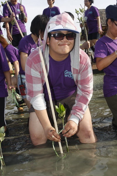 กรีนเวฟ อาสาทำดี สร้างกำแพงสีเขียว บนป่าชายเลนผืนสุดท้ายของกรุงเทพมหานคร