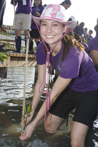 กรีนเวฟ อาสาทำดี สร้างกำแพงสีเขียว บนป่าชายเลนผืนสุดท้ายของกรุงเทพมหานคร