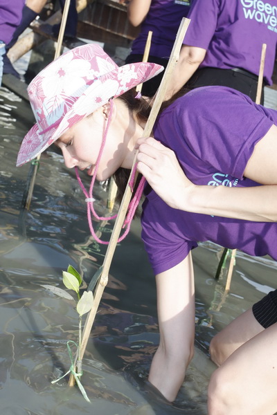 กรีนเวฟ อาสาทำดี สร้างกำแพงสีเขียว บนป่าชายเลนผืนสุดท้ายของกรุงเทพมหานคร