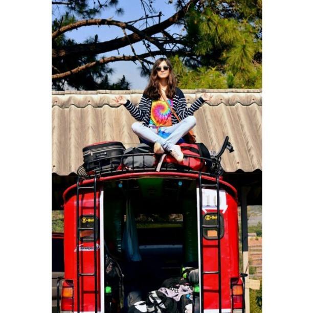 วี วิโอเลต