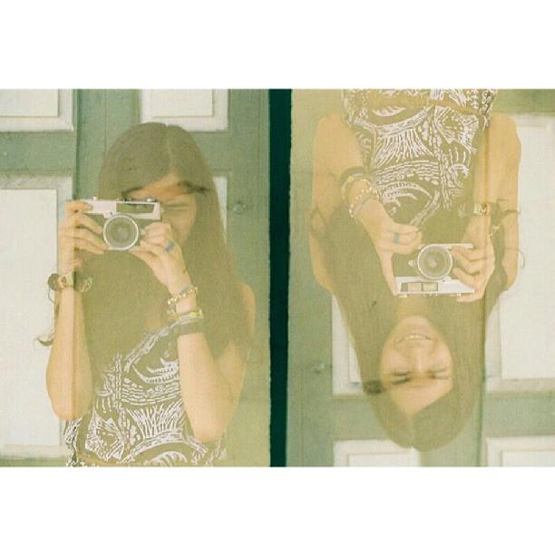 วี วิโอเลต