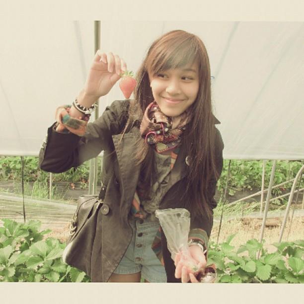 ชาเม ลูกสาวติ๊ก ชีโร่