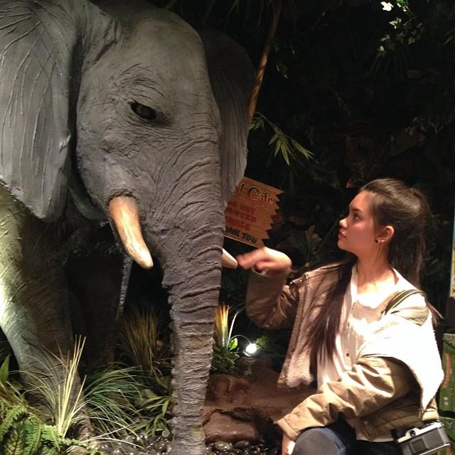 ไมร่า มณีภัสสร
