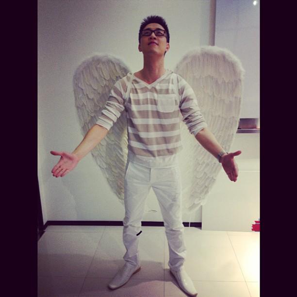 ไก่ ภาษิต 