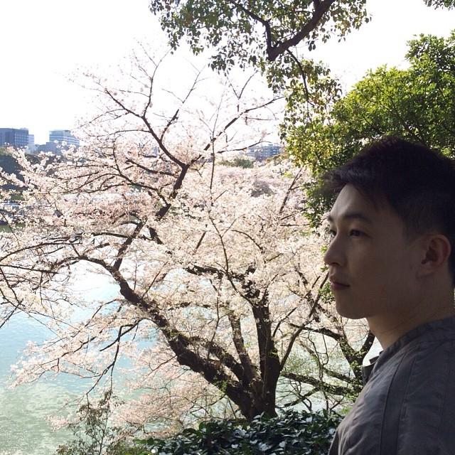 ไก่ ภาษิต 