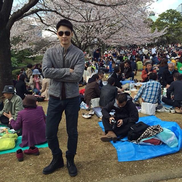 ไก่ ภาษิต 