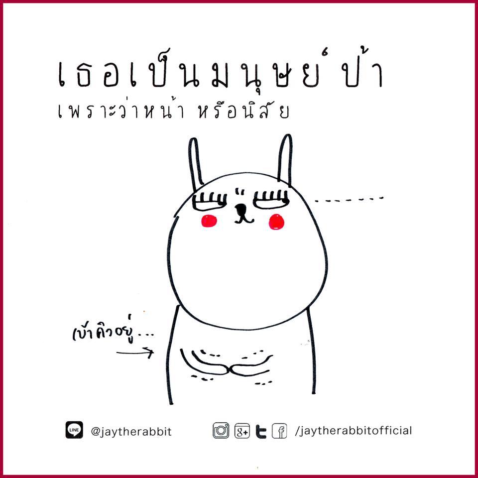 Jaytherabbit