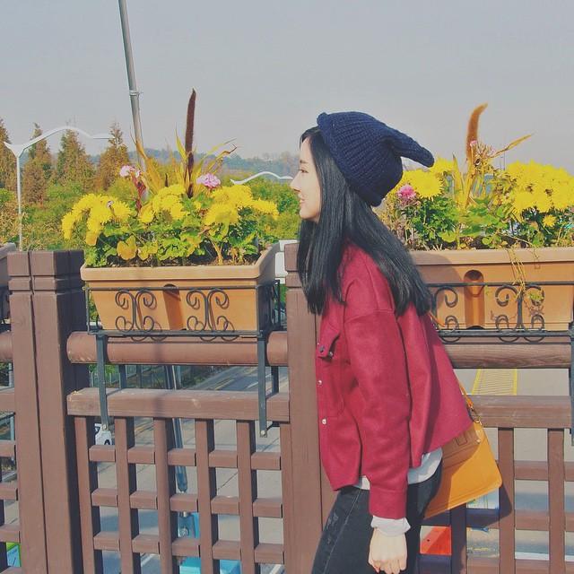 แพนด้า ฝนนภา