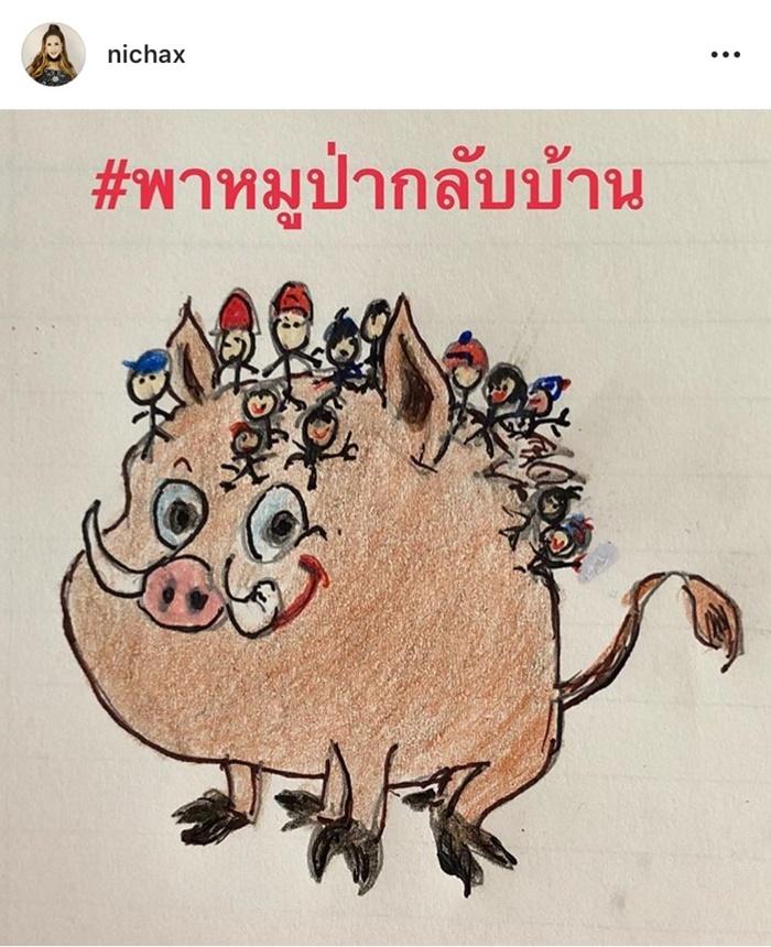 ทีมหมูป่า