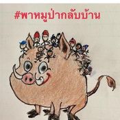 ทีมหมูป่า