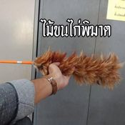 รีวิวไม้เรียว