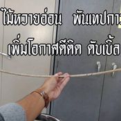 รีวิวไม้เรียว