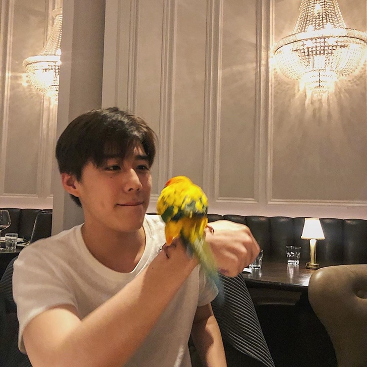 พีพี กฤษฏ์