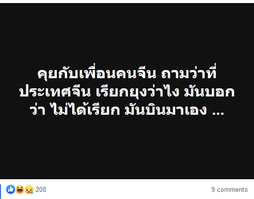 มหาวิทยาลัยธรรมศาสตร์และการตบมุก