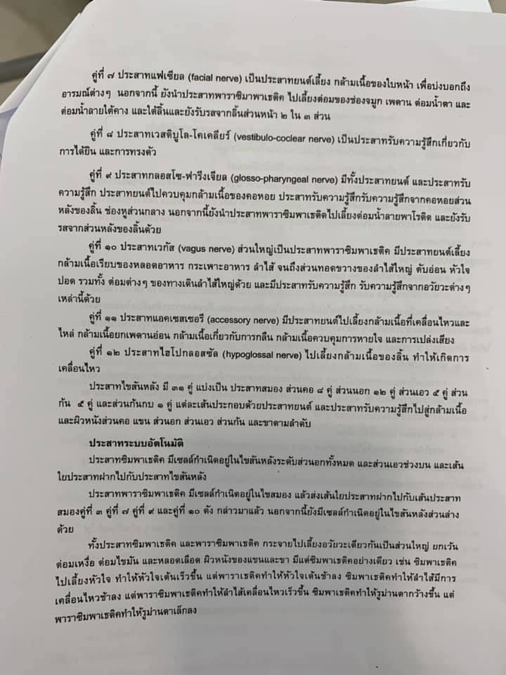 ให้หมอช่วยสอนการบ้าน 