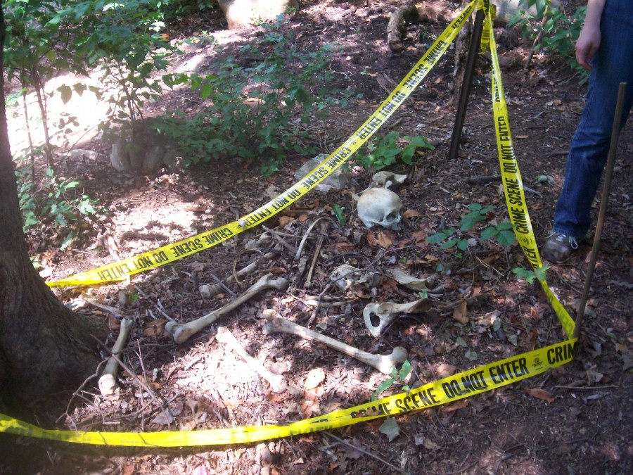 ฟาร์มศพ