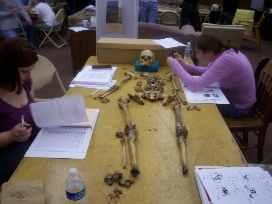 ฟาร์มศพ