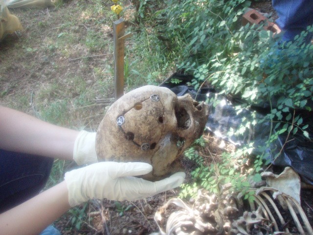 ฟาร์มศพ