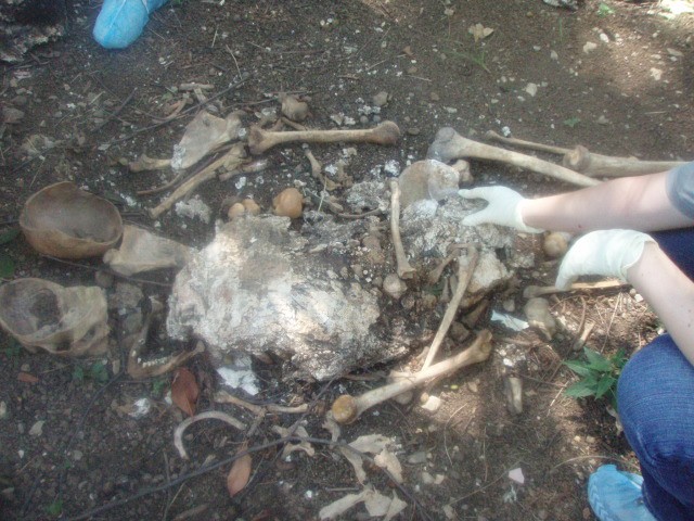 ฟาร์มศพ