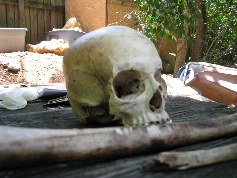 ฟาร์มศพ