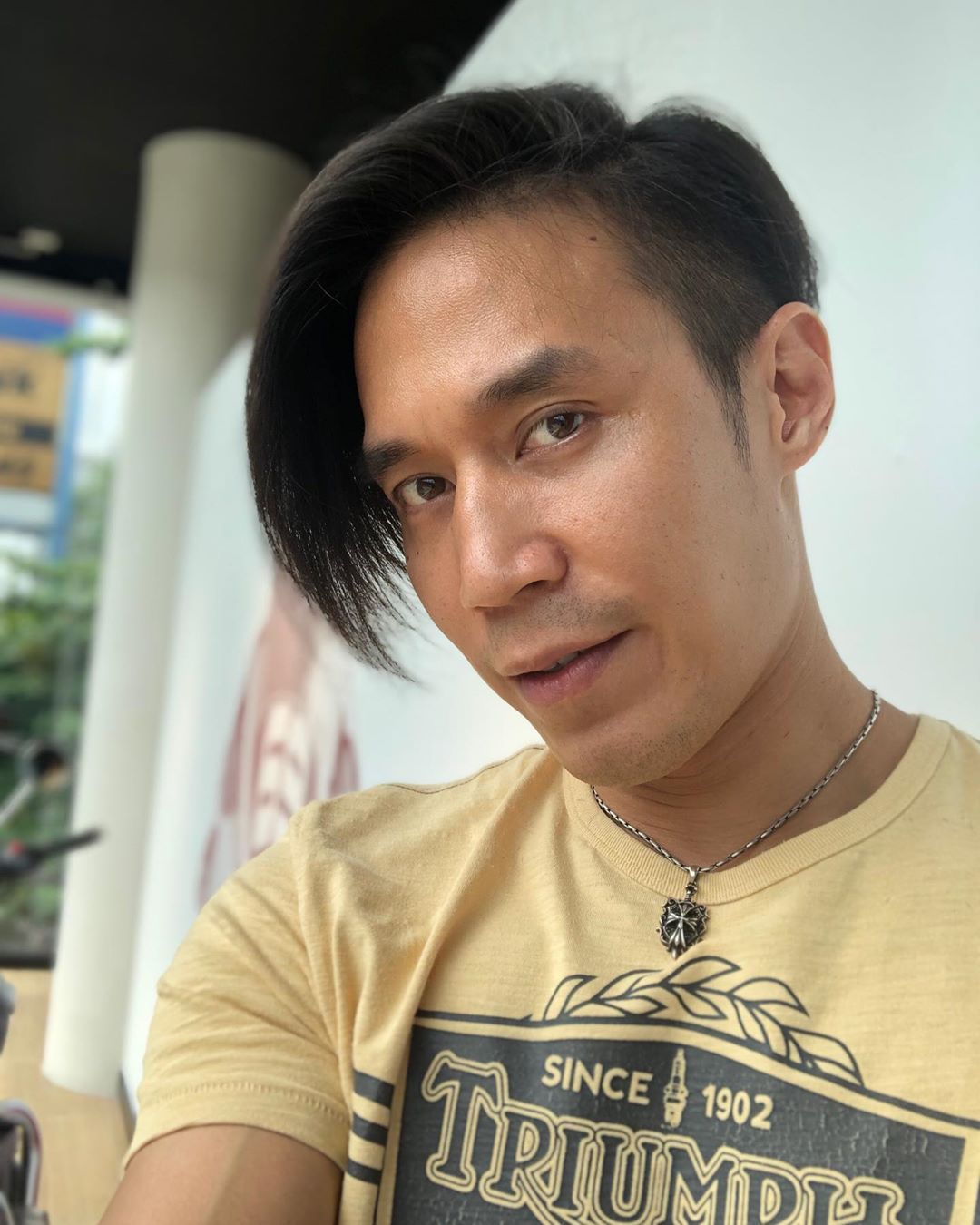 ดอม เหตระกูล