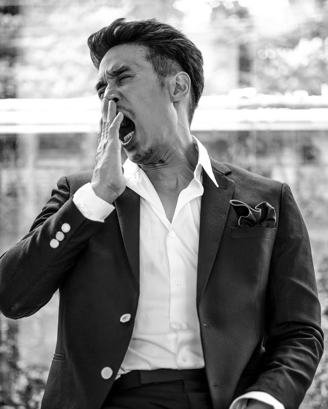 ดอม เหตระกูล