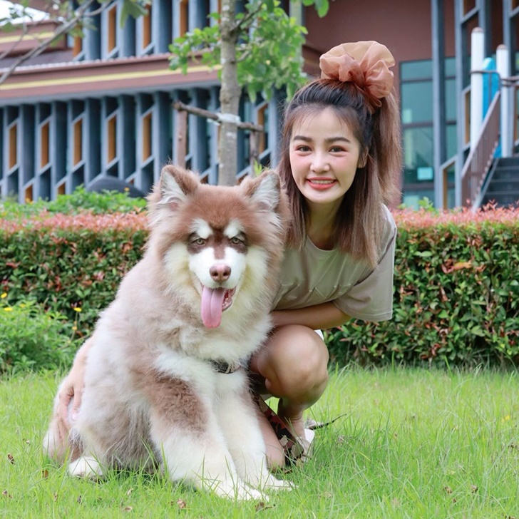 กระแต อาร์สยาม