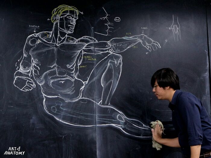 ART of Anatomy