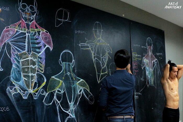 ART of Anatomy