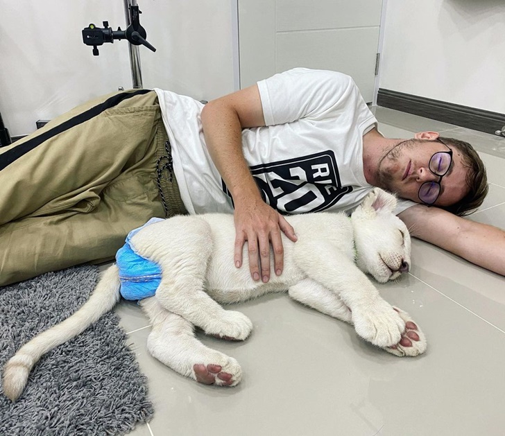 เนท My Mate Nate