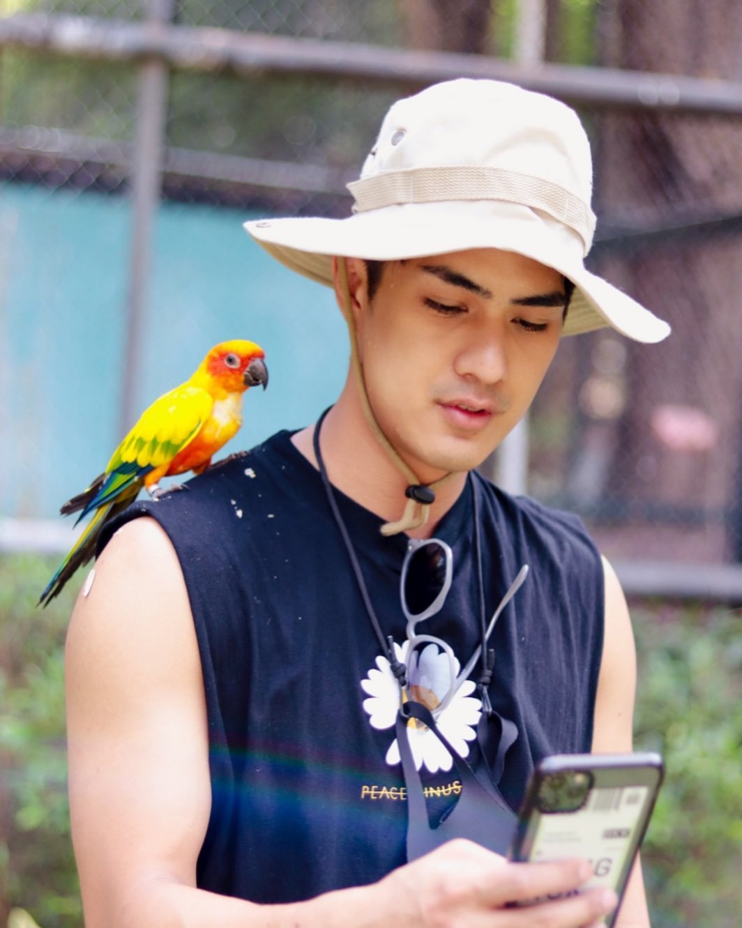 เขต ธาราเขต