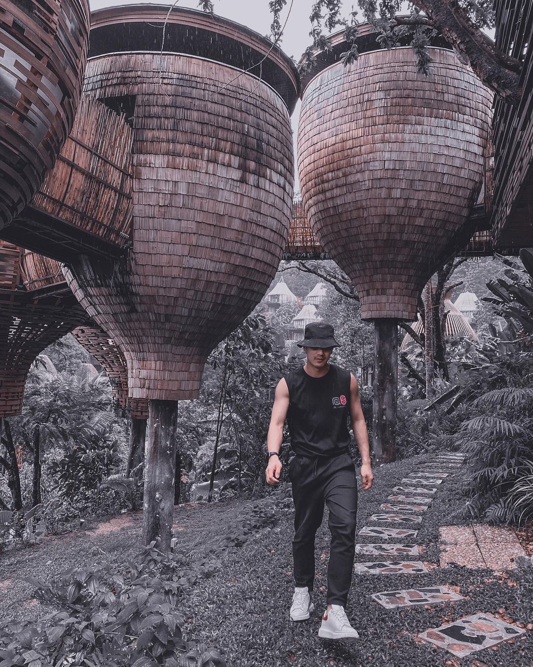 เขต ธาราเขต