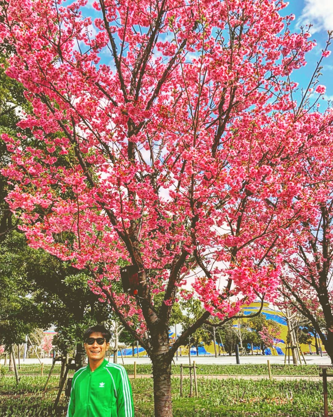 บุหรี่ ศิวนาถ