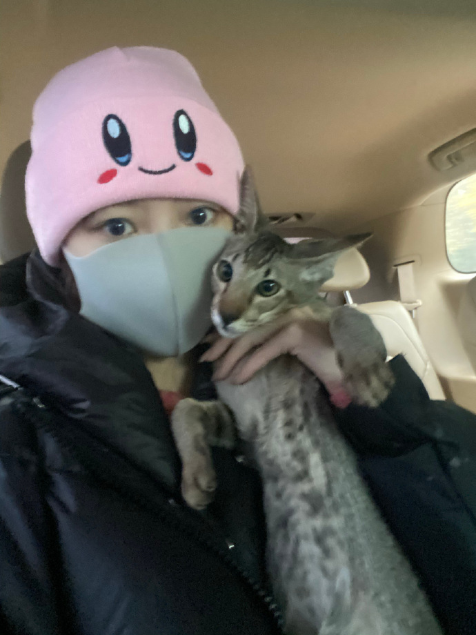 วังเหม่ยหยู