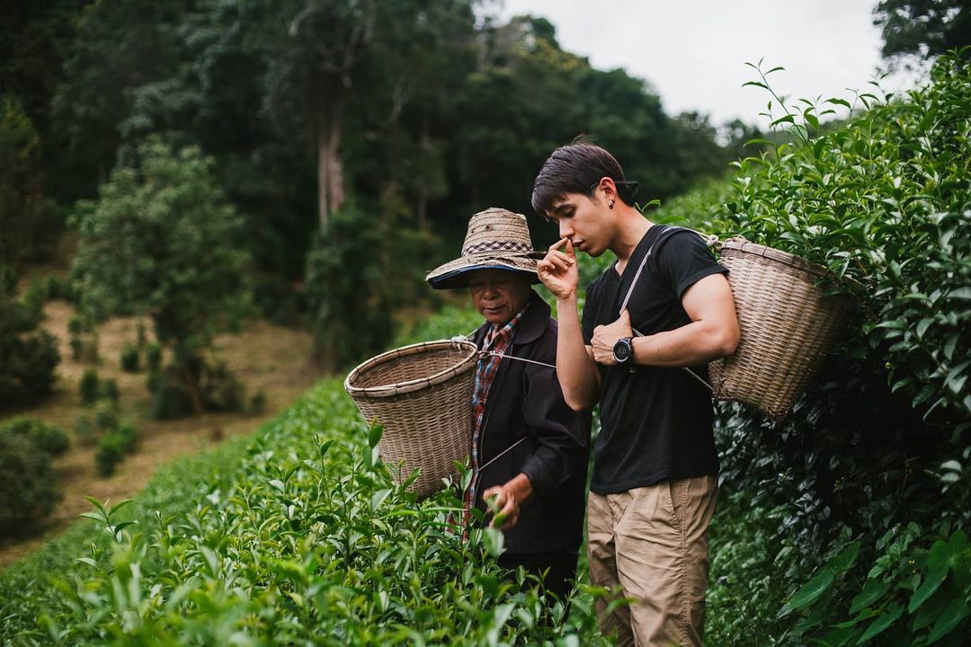 นิว ชัยพล