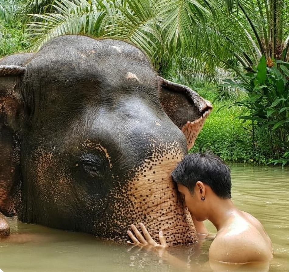 นิว ชัยพล