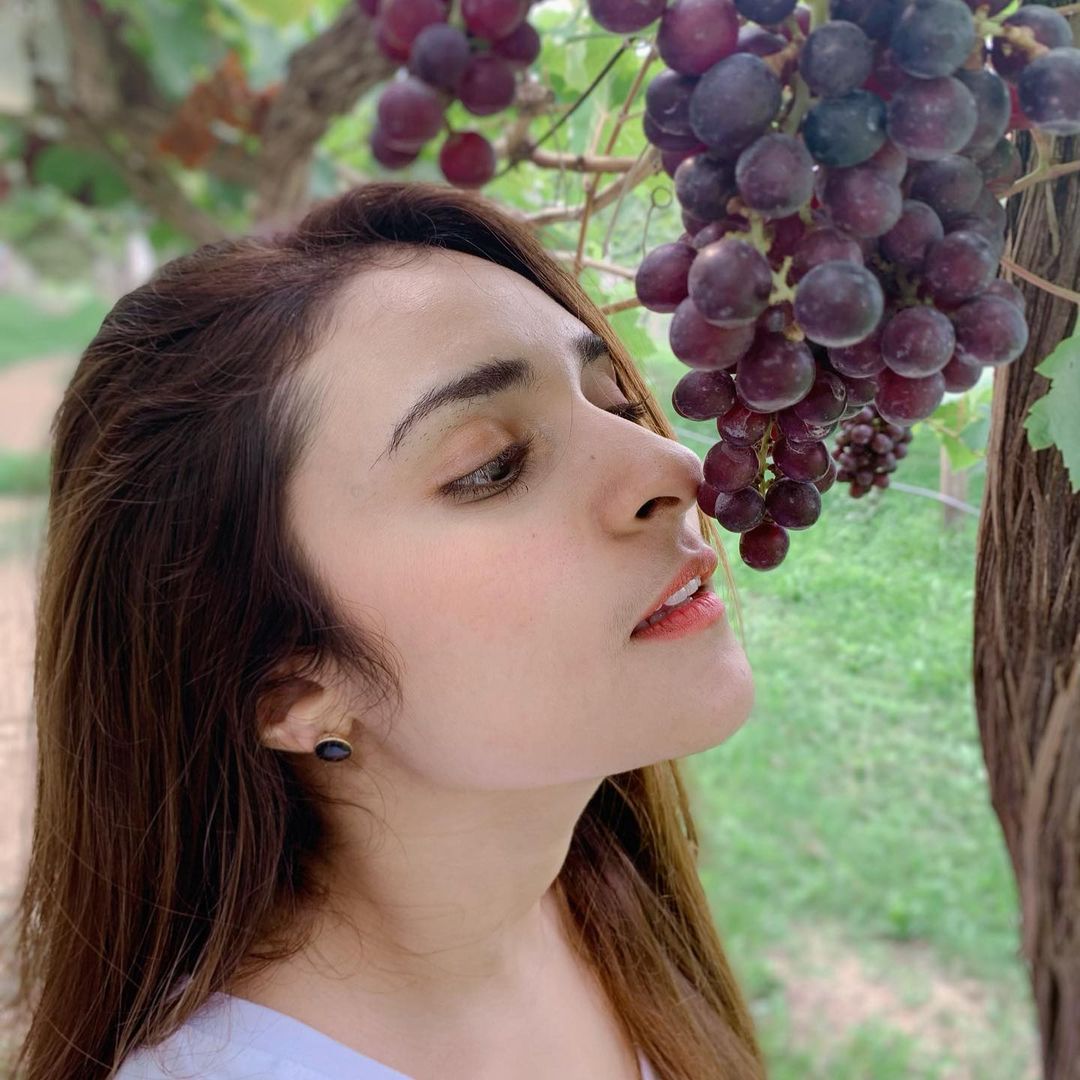 สาแก่ใจ