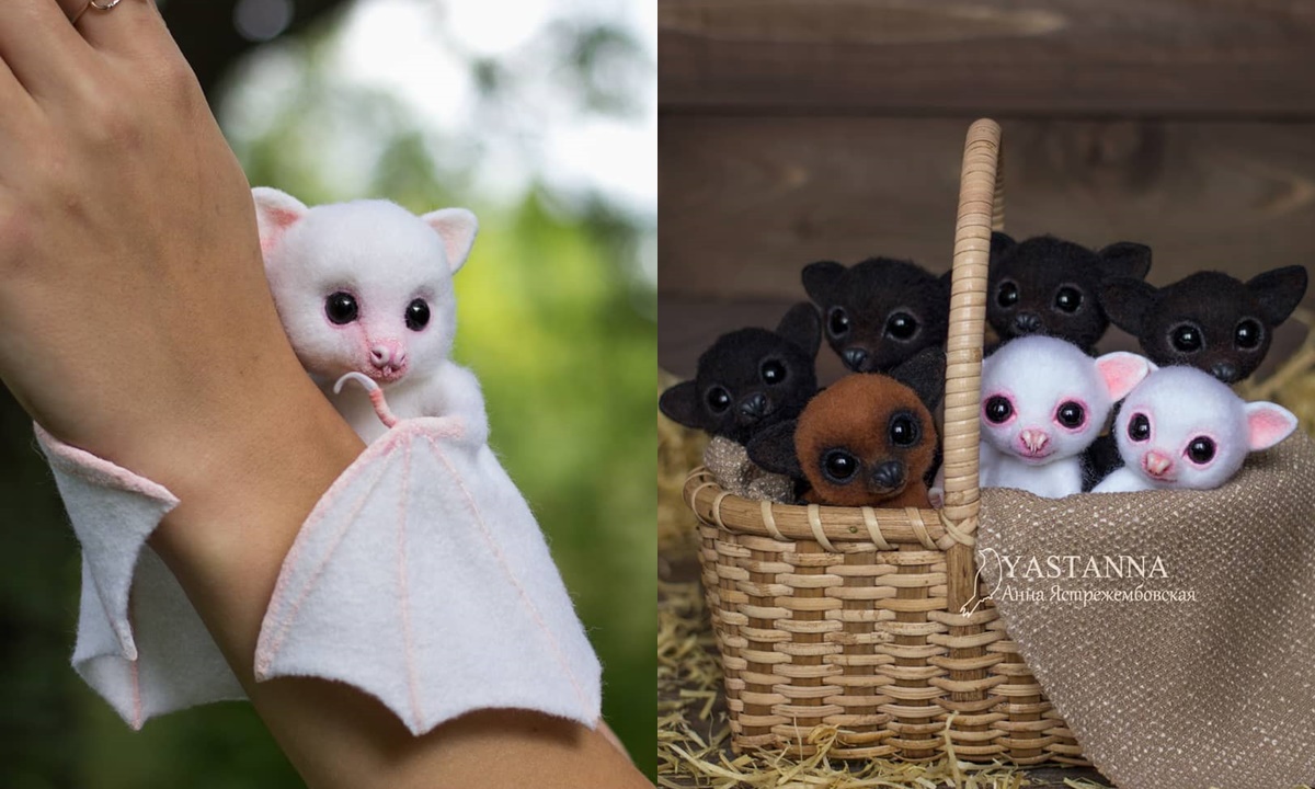 ตุ๊กคาใยขนแกะ