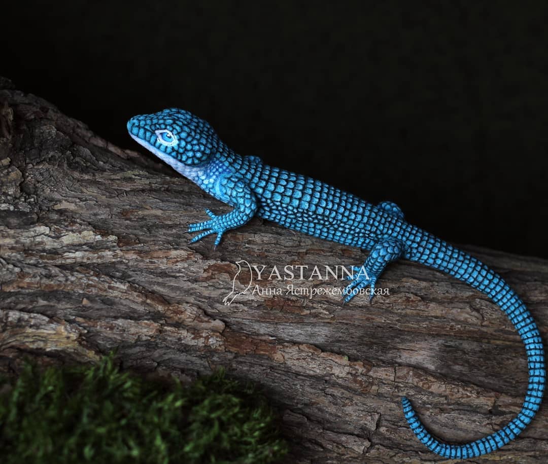 ตุ๊กคาใยขนแกะ