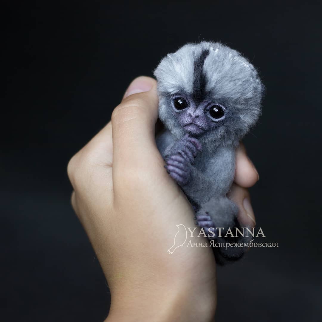 ตุ๊กคาใยขนแกะ