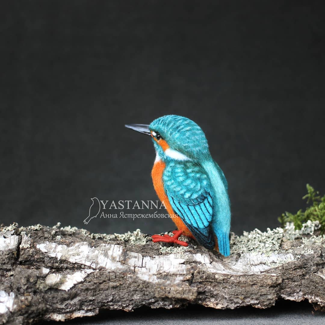 ตุ๊กคาใยขนแกะ