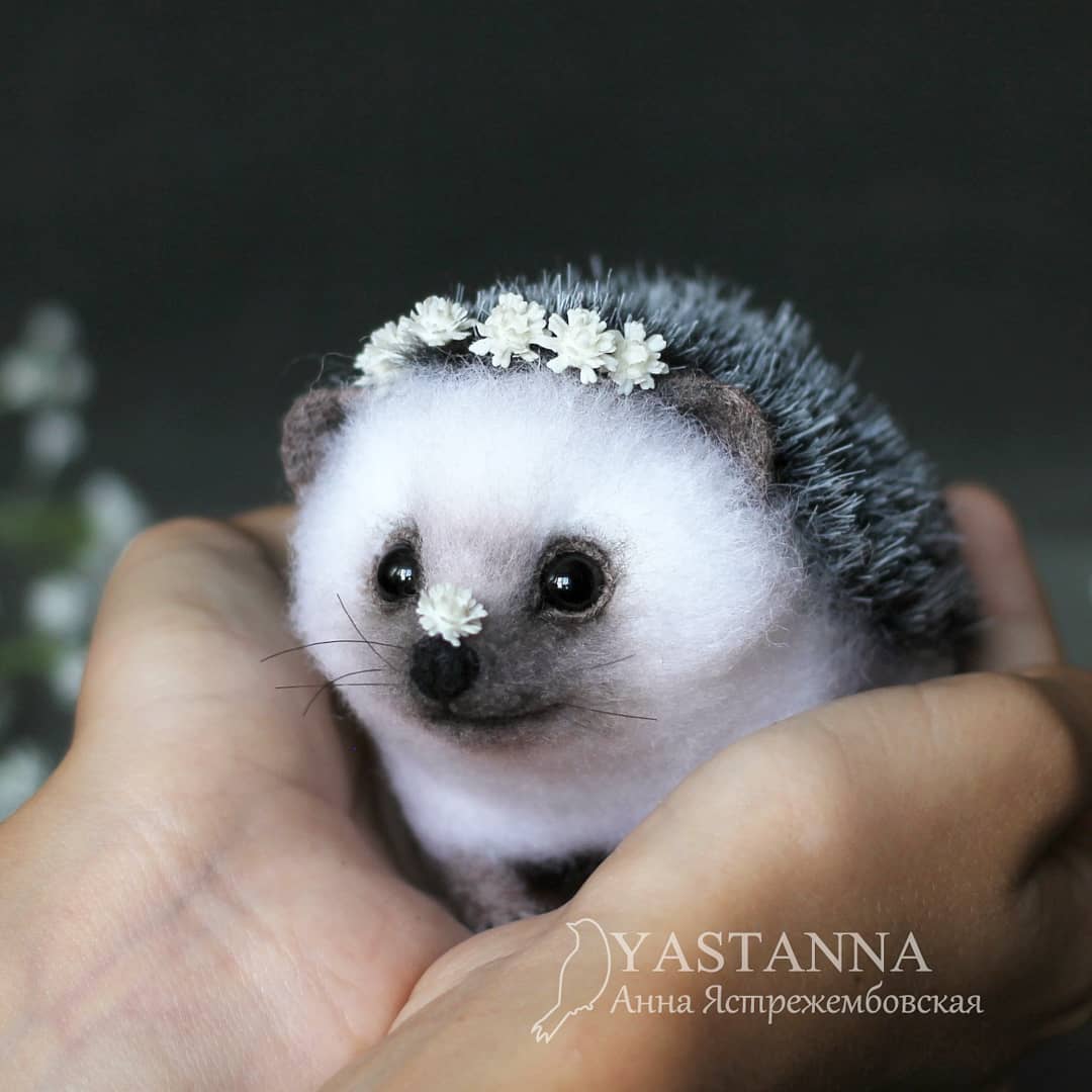 ตุ๊กคาใยขนแกะ