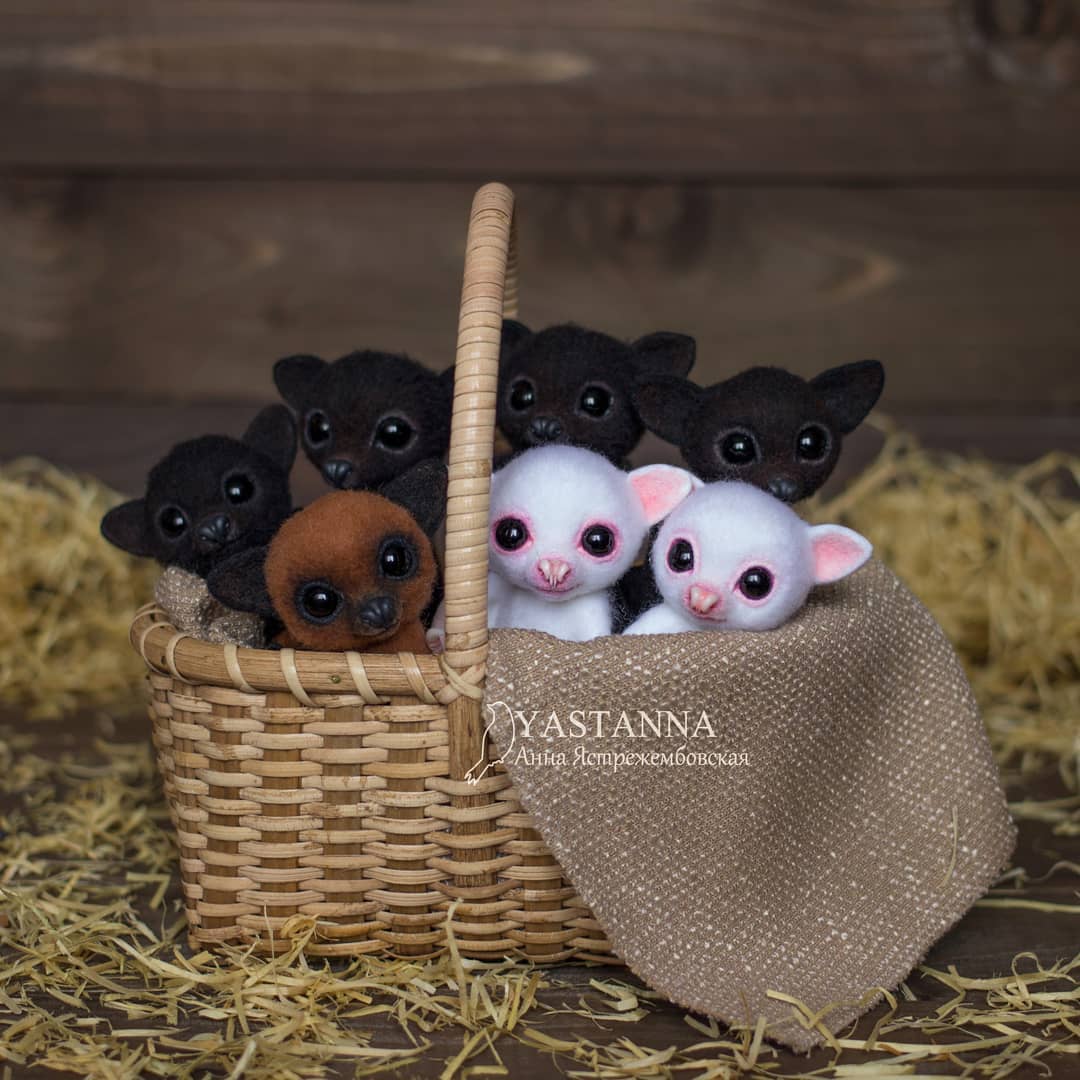 ตุ๊กคาใยขนแกะ