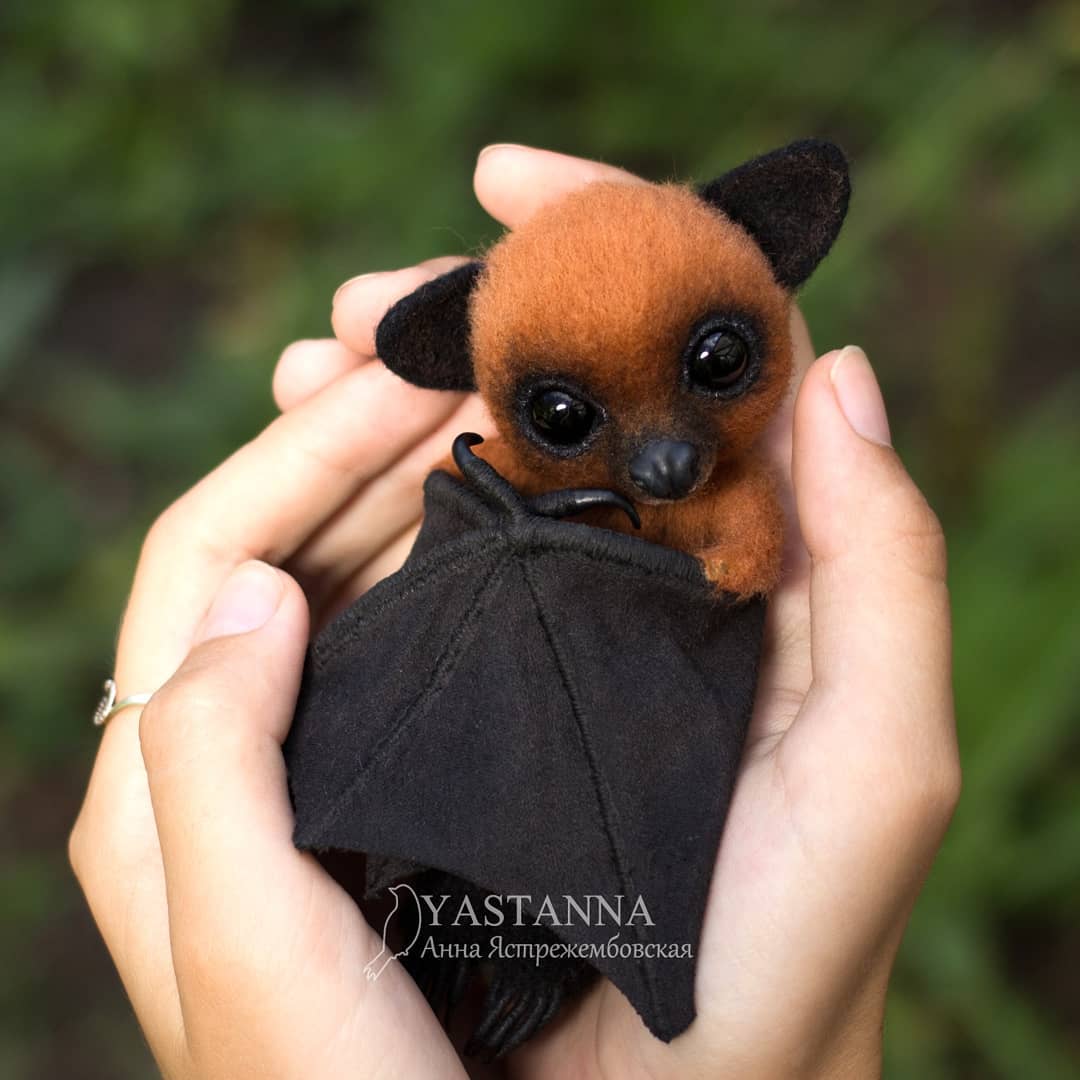 ตุ๊กคาใยขนแกะ