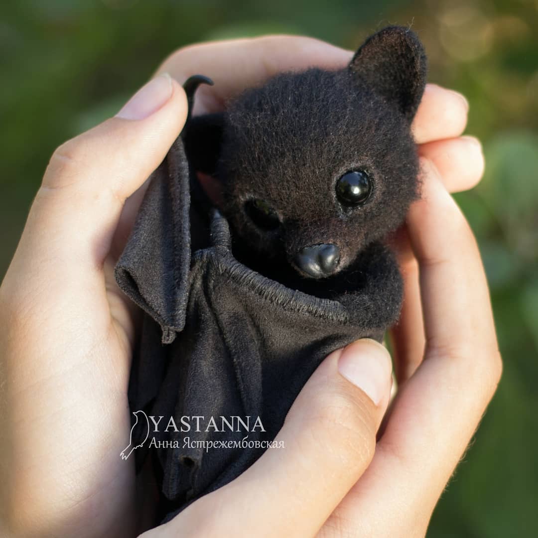 ตุ๊กคาใยขนแกะ