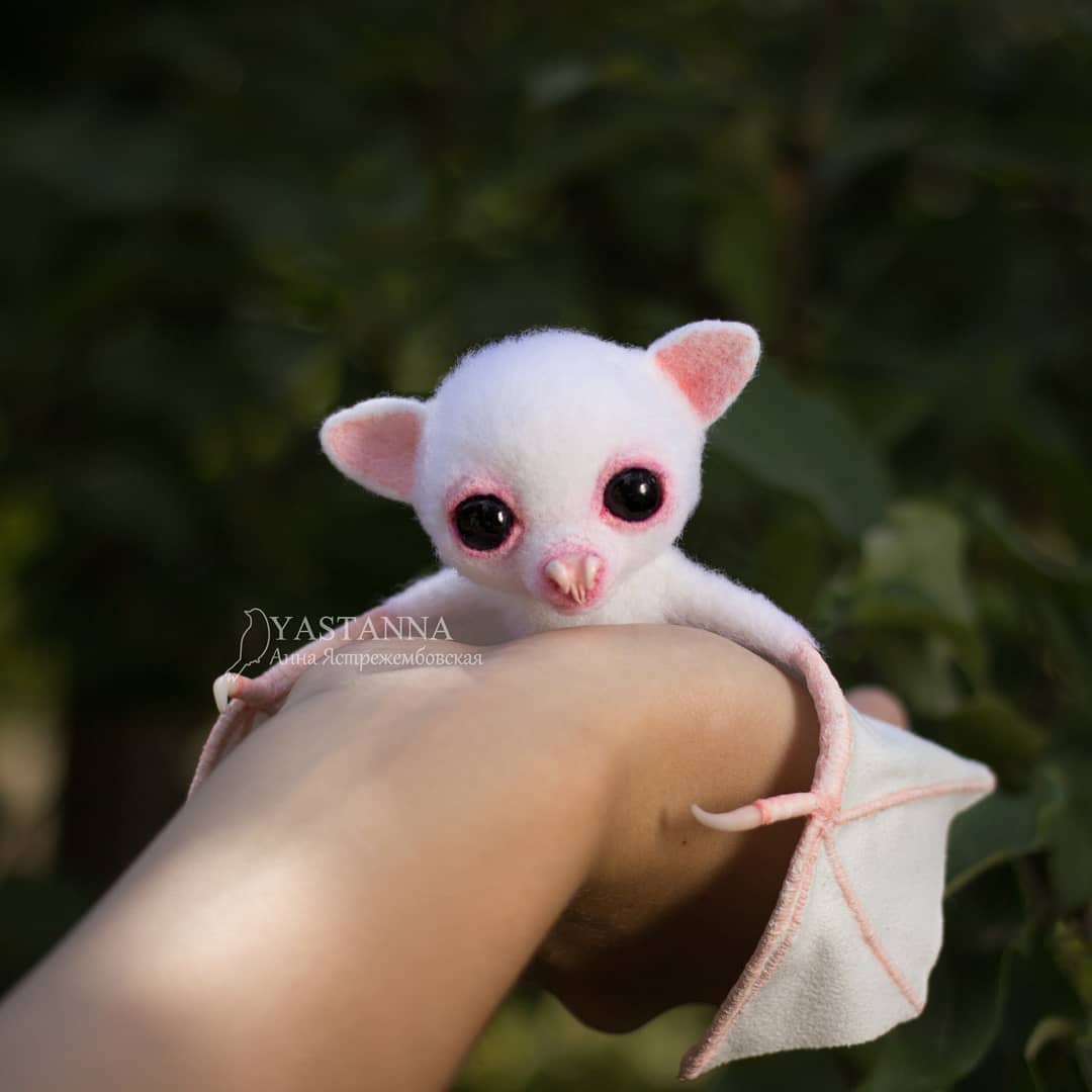 ตุ๊กคาใยขนแกะ