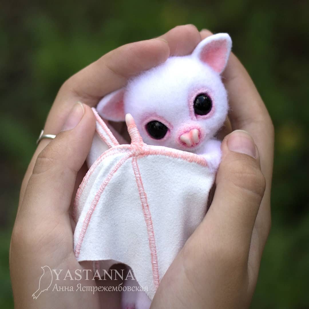 ตุ๊กคาใยขนแกะ