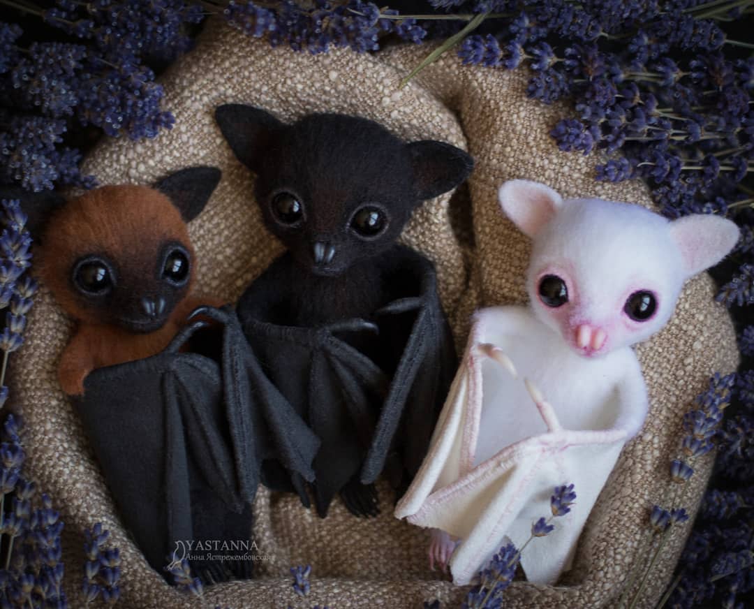 ตุ๊กคาใยขนแกะ