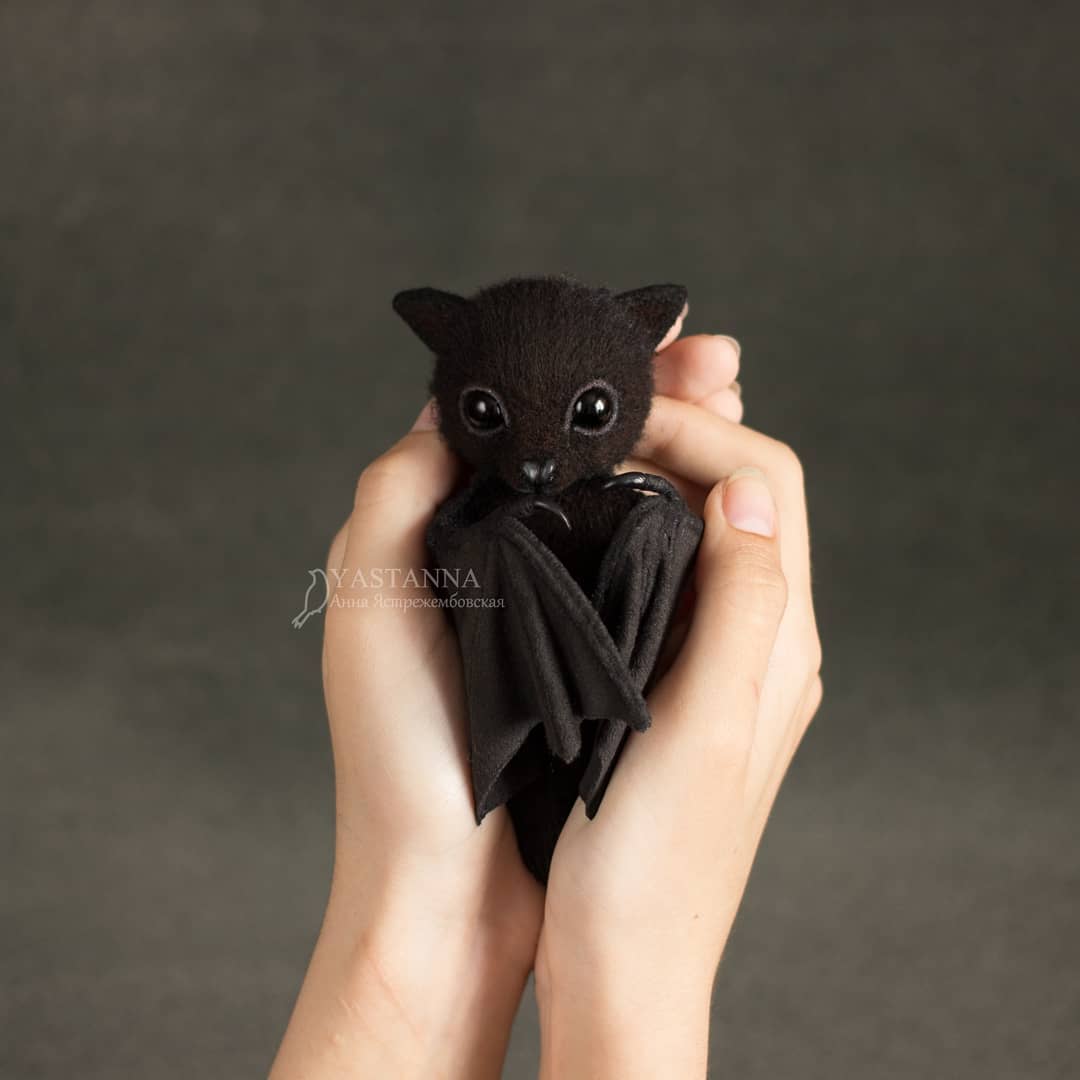 ตุ๊กคาใยขนแกะ